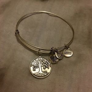 Alex and Ani Bracelet